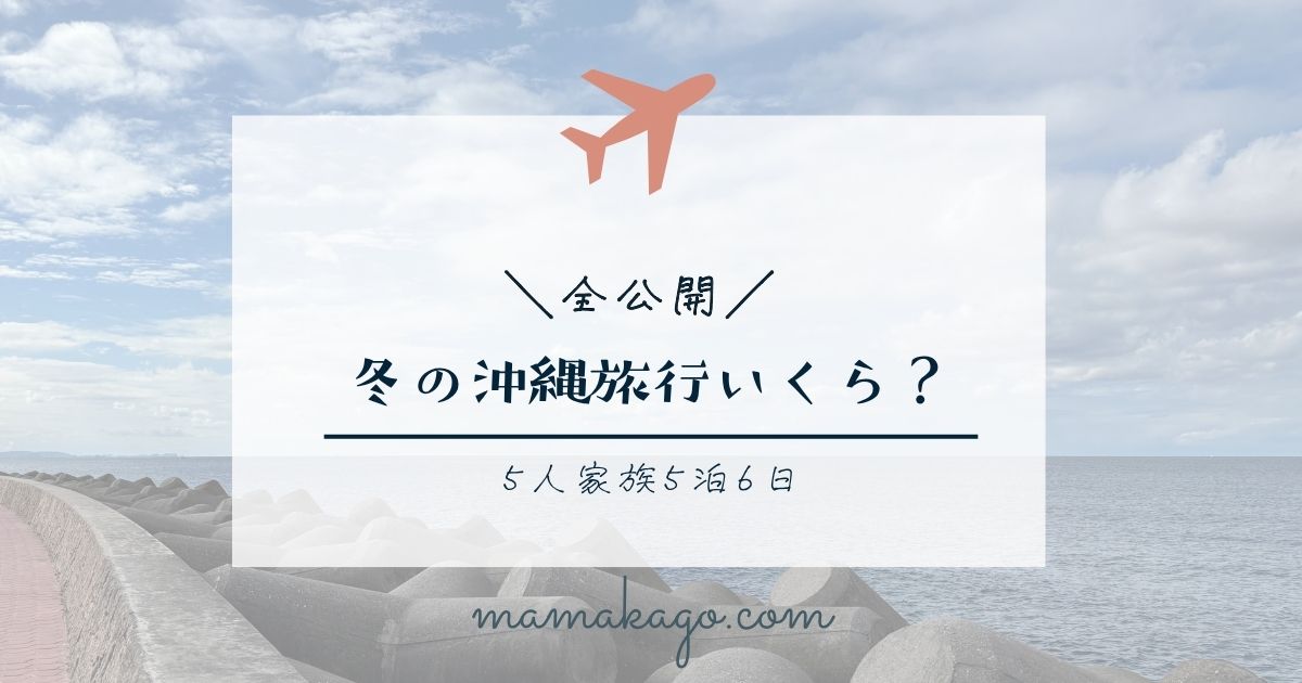 冬の沖縄旅行の旅費総額