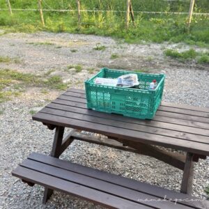 こどもスイートルーム夕食