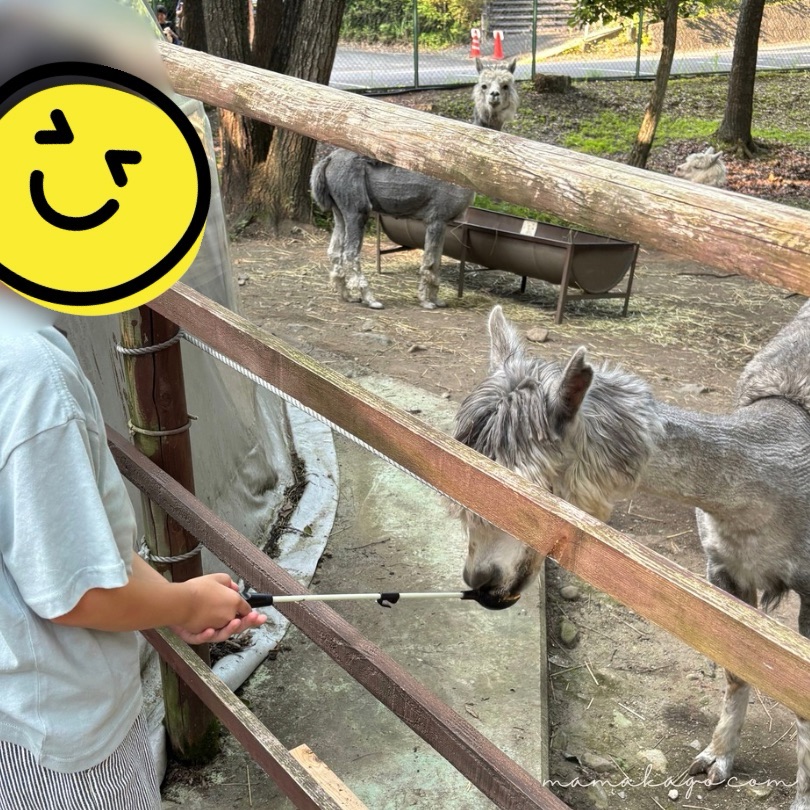 りんどう湖アルパカグランピング