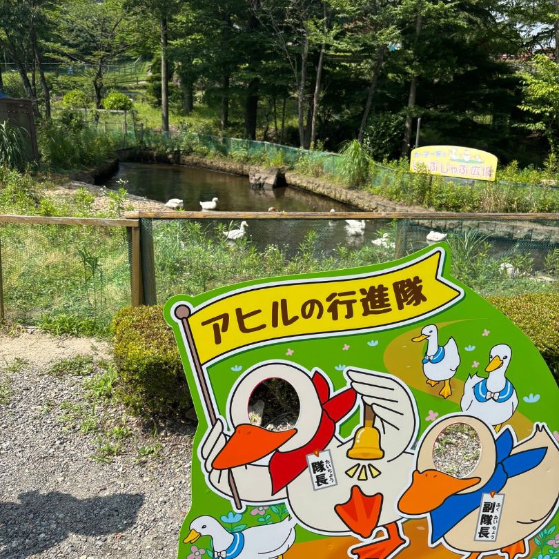 りんどう湖ファミリー牧場アヒル